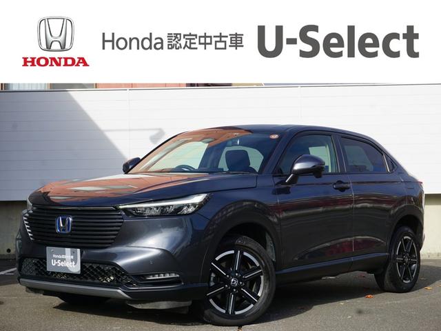 ۥ  塧ȣţ֣ءҥ󥿥åסʥӡҳɥ쥳