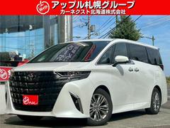 アルファードハイブリッド Z 左右独立ムーンルーフ/アドバンスドパーク/アドバンスドドライブ/純正ナビ/TV/パノラミックビューモニター/両側パワスラ/パワーバックドア/ワイヤレス充電/ステアヒーター/快適温熱シート/LED 中古車画像