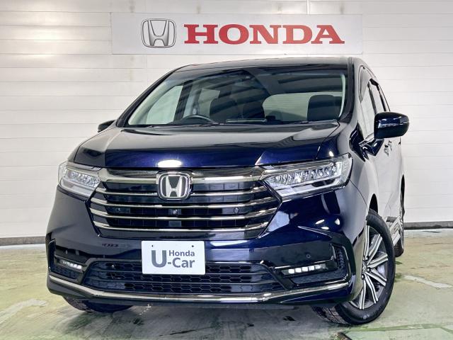 ǥå ֥롼 0302074A30251212W002 1