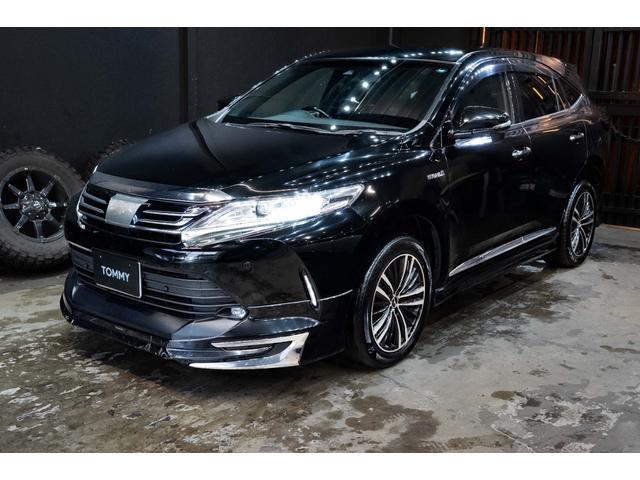 ȥ西 ϥꥢϥ֥å ץߥࡡҳסʥӡХå