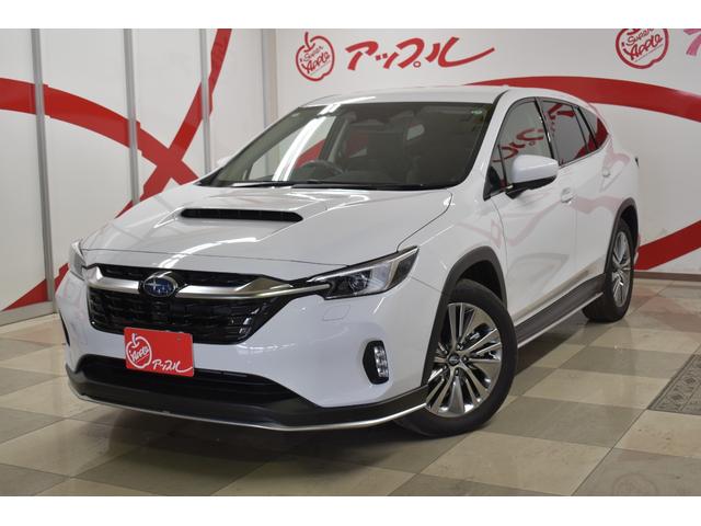 スバル レヴォーグ レイバック リミテッドＥＸ　４ＷＤ　ハーマンカードン　ＳＴＩエアロＦＳＲ