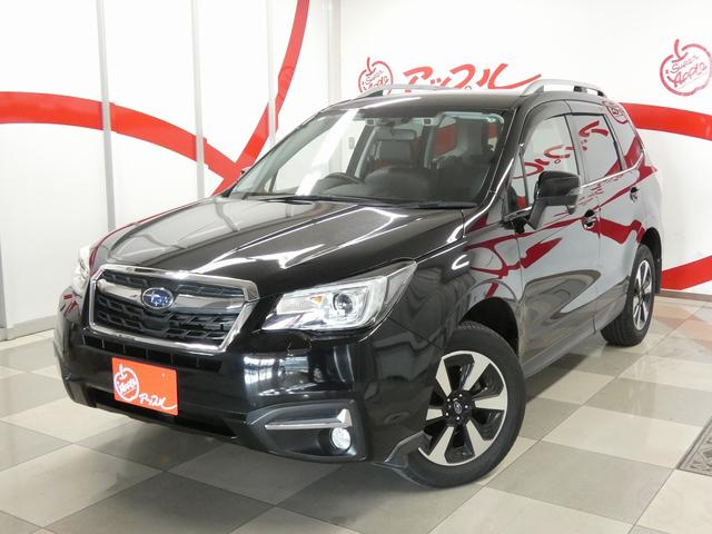 Х ե쥹 ءݥ֥쥤ףġ󥪡ʡȡʥ