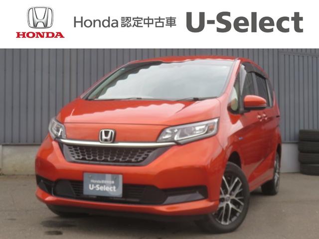 ۥ ե꡼ɡܥϥ֥å ϥ֥åɣǡۥ󥷥󥰡꡼ʥӡե륻