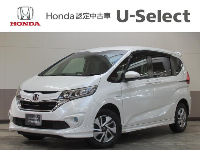 ۥ ե꡼ɥϥ֥å ϥ֥åɡǥۥ󥷥󥰡꡼ʥӡ֥롼ȥ