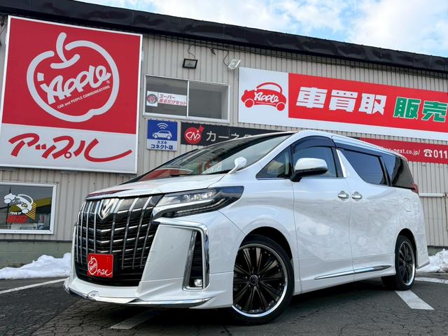 ʥӡե륻ԣ֡Хå顿饷 ѥȡ٥졼󥷡ȡƥ󥰥ҡ 1