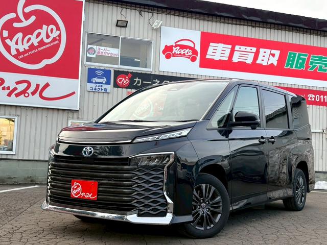 ȥ西  ϥ֥åɣӡݣǡʥӡȥ西եƥ󥹡ץƥ֥롼ȥ