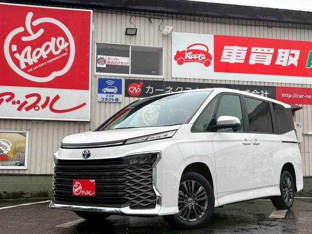  ϥ֥åɣӡݣǡʥӡȥ西եƥ󥹡ץƥ֥롼ȥ 0302639A20251126W011 1