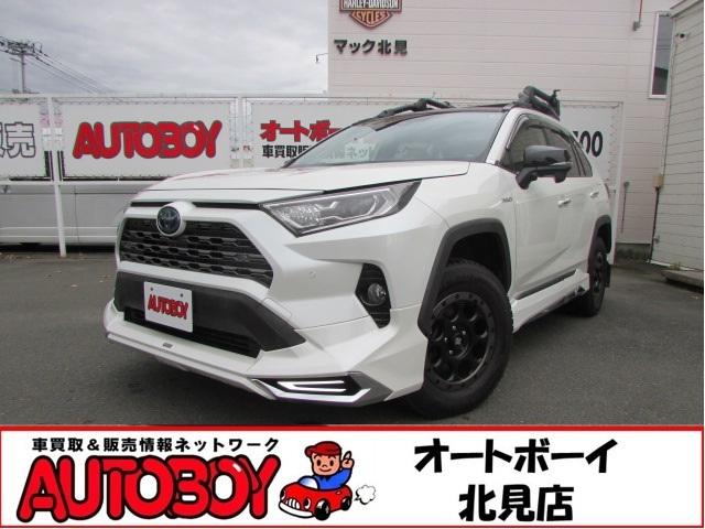 ＲＡＶ４ ハイブリッドＧ　ヒッチメンバー／パワーバックドア／アップサス／モデリスタエアロ／サンルーフ／ビルトインＥＴＣ／クルーズコントロール／シートヒーター／ステアリングヒーター／フルセグＴＶ／バックカメラ／サイドカメラ／（1枚目）