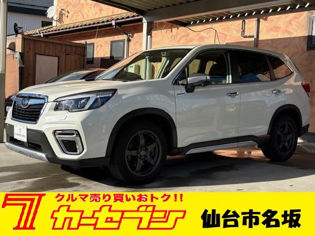 Х ե쥹 ɥХ󥹡ʡ롼աߥ