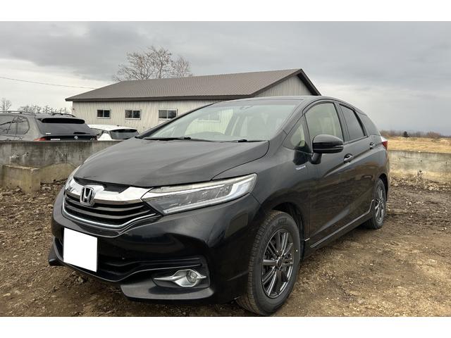 ȥ ϥ֥åɣإ륨ǥ 0303696A30251203W002 1