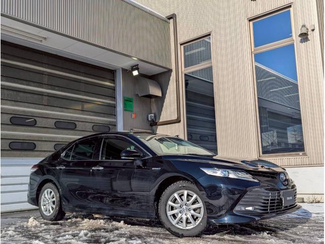 ȥ西  ǡץƥ֥롼ȥ롡ץƥ֥ɥ饤ӥ󥰥ӡࡡư