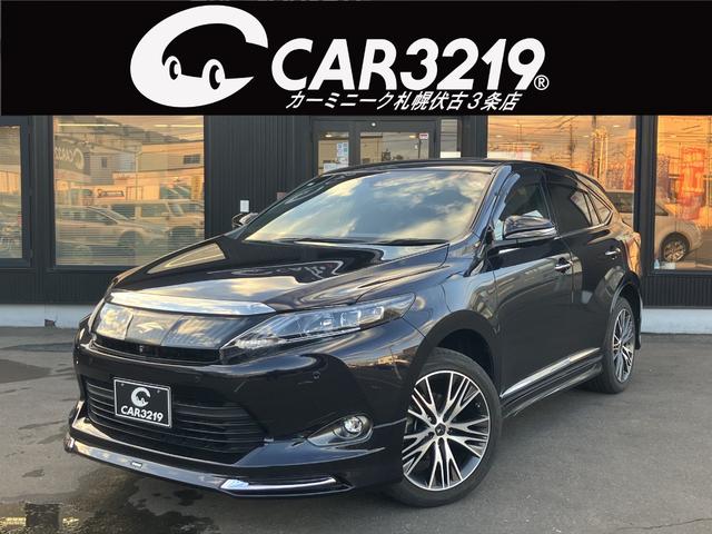 ǥꥹʥӡ롼ա֥ϥꥢ ָ£ǯޤǡɤǤΦǼֲǽ 1