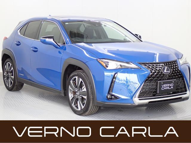 ＵＸ２５０ｈ　バージョンＬ　本州仕入・ＡＷＤ・パノラミックビューモニター・ムーンルーフ・電動リアゲート・シート＋ステアリングヒーター・レクサスセーフティシステム・ＬＥＤライト・純正ＡＷ・純正ナビ・ＥＴＣ２．０・ドライブレコーダー
