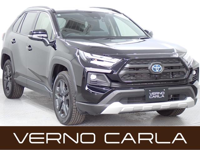 ξդ򥫥ǳǧǤ뵡ǽϥ顪 إåɥ饤ȥå㡼ߥۥ롡ޡȥưǼߥ顼 1