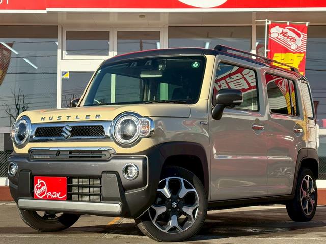  ϥ顼 ʥɣɡףġ̥˥գ꡼ʥӡե륻ԣ