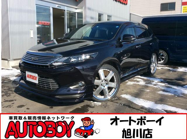 エレガンス 4WD 純正エアロ ローダウン ワーク22インチ(1枚目)