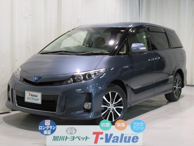アエラス TVHV(1枚目)