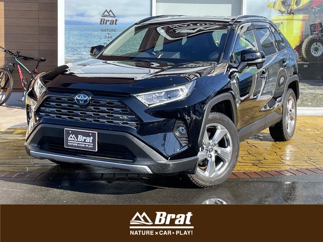 トヨタ ＲＡＶ４ ハイブリッドＧ　純正９インチＳＤメモリナビ　Ｂｌｕｅｔｏｏｔｈオーディオ　フルセグＴＶ　レーダークルーズコントロール　ＡＣ１００Ｖ　寒冷地仕様　ステアリングヒーター　シートヒーター　フロントワイパーデアイサー