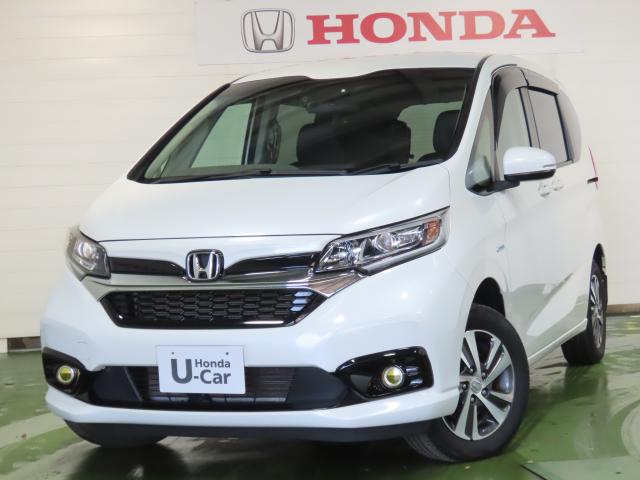 ե꡼ɥϥ֥å ϥ֥åɡǥۥ󥷥 0310168A30251205W003 1