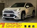 ＲＡＶ４ Ｇ　Ｚパッケージ　４ＷＤ　純正９型ナビ　バックカメラ　ＴＲＤフルエアロ　パノラマルーフ　デジタルインナーミラー　ＢＳＭ　ＥＴＣ２．０　電動リアゲート　パワーシート　シート・ステアリングヒーター　クルコン　革シート（1枚目）