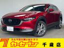 carPhoto