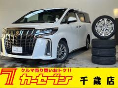 アルファード 2.5S タイプゴールドIII 4WD/夏冬タイヤ付/13.3型フリップダウン/寒冷地/エンスタ/Bカメラ/TV/Pバックドア/両側Pスラ/LEDヘッド/LEDフォグ/BSM/セーフティセンス/スペア/ETC/AC100V電源 中古車画像
