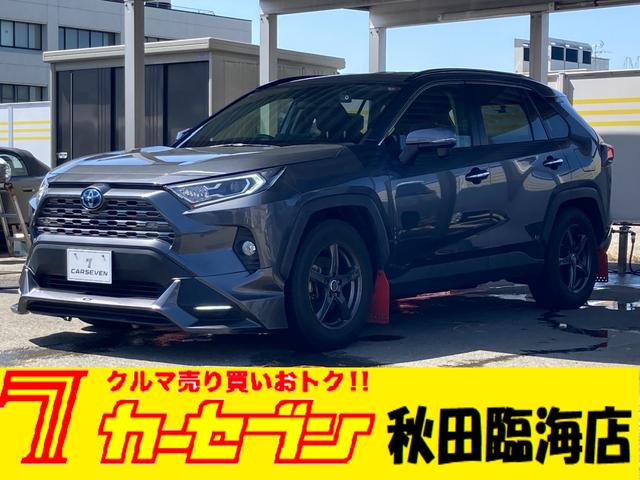 ＲＡＶ４ ハイブリッドＧ　ワンオーナー　純正ナビ　バックカメラ　ＴＲＤエアロ　ＴＲＤガーニッシュ　マッドガード　社外マフラー　ステアリングヒーター　夏冬タイヤ　ブラインドスポットモニター　車高調