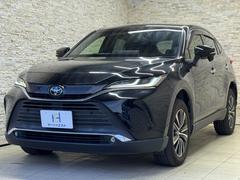 ȥ西ϥꥢǡʥӡ¥ᡡ£