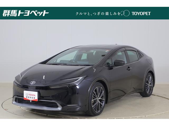 ȥ西 ץꥦ ڡﳲڸ֥졼ģʥӡϥǥԣ