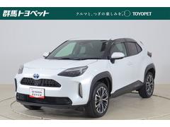 ꥹ ϥ֥åɣڡﳲڸ֥졼졼롼