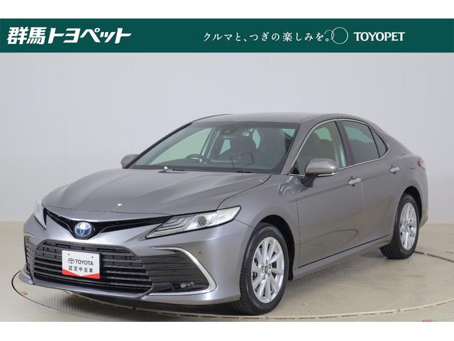 ȥ西  ǡﳲڸ֥졼ģʥӡϥǥԣ