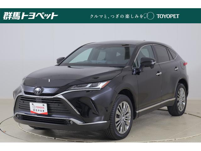 ֳǧŹƬǼ֤ĺΤߤȤʤޤ ѡǯԵΥ̵¥󥰥ݾ⤬ޤޤƤޤ 1