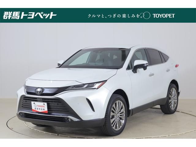 ֳǧŹƬǼ֤ĺΤߤȤʤޤ ѡǯԵΥ̵¥󥰥ݾ⤬ޤޤƤޤ 1