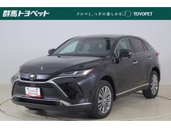 ȥ西ϥꥢڡﳲڸ֥졼ʣ£̥ץߥʥӡϥǥԣ