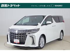 ����ե����� �������ӡ������ﳲ�ڸ��֥졼������������ģ��ʥӡ��ϥǥ��ԣ�