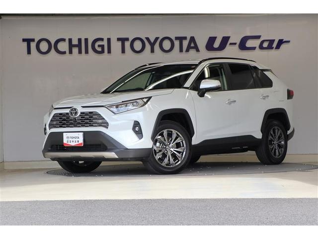 ＲＡＶ４ Ｇ　ディスプレイナビ　パノラマモニター　フルセグ　ＬＥＤライト　衝突被害軽減ブレーキ　４ＷＤ車　シートヒーター　ＥＴＣ　純正アルミ　ワンオーナー車