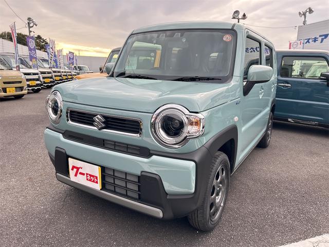  ϥ顼 ϥ֥åɣǡꥢ󥹥ʡȥ롼ȥ롡졼󥢥