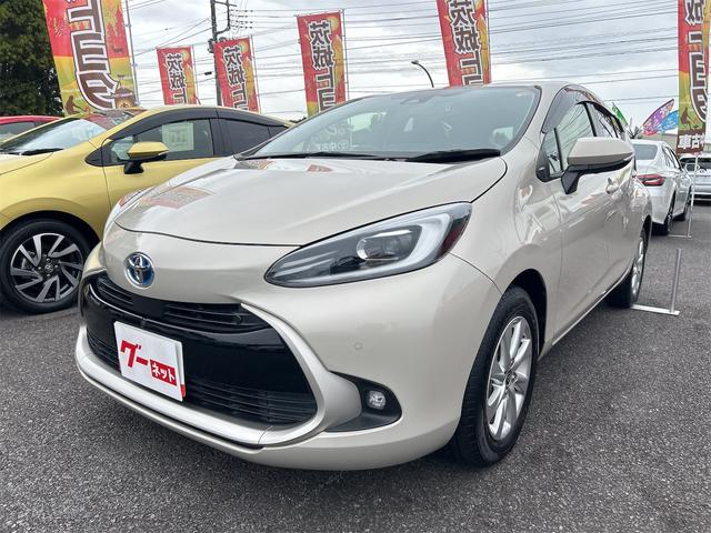 ξդ򥫥ǳǧǤ뵡ǽϥ顪 ɥ󥰥ȥåסưǼߥ顼Ÿã֣ԡ£ 1