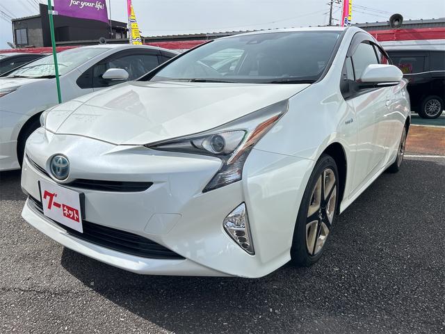 ȥ西 ץꥦ ӥġ󥰥쥯󡡥졼󥢥ȡȥ롼ȥ롡Хå