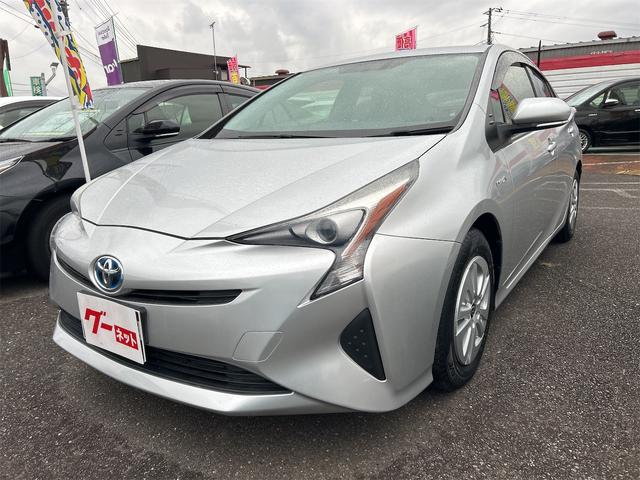 ȥ西 ץꥦ ӡţԣáХå顡ʥ