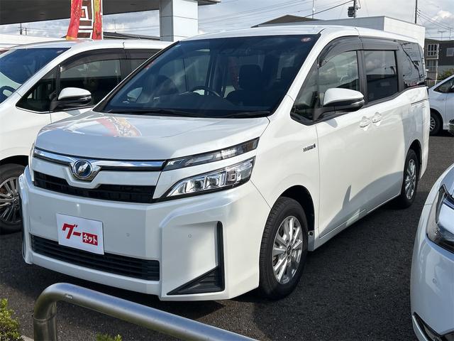 ȥ西  ϥ֥åɣءɥ饤֥쥳ţԣáХå