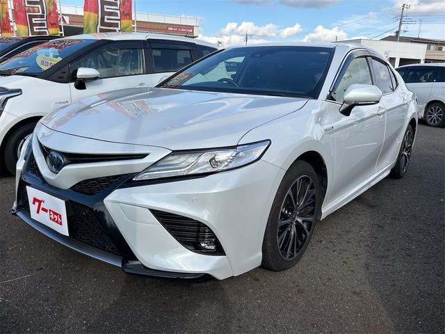 ȥ西  ףӥ쥶ѥåţԣáꥢ󥹥ʡ졼󥢥