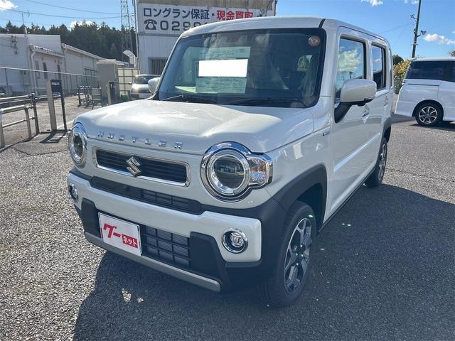  ϥ顼 ϥ֥åɣءϥ顡ʥӡԣ