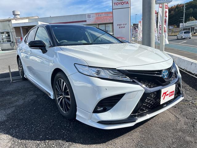 ȥ西  ףӡꥢ󥹥ʡȥ롼ȥ롡ﳲڸƥ