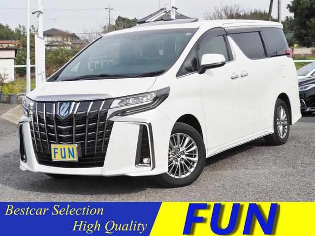 ȥ西 եɥϥ֥å ӡץɣɣɡϣСĥ󥵥롼