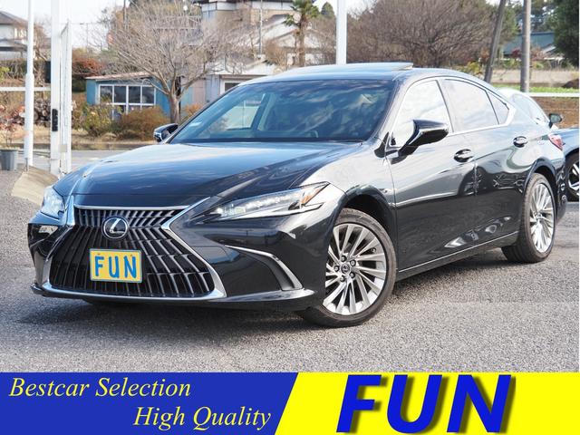 ＥＳ(レクサス) ＥＳ３００ｈ　バージョンＬ　ＯＰ・デジタルインナーミラー　セーフティシステムプラス　ＢＳＭ／ＰＫＳＢ　ＨＵＤ　パノラミックビュー　黒革シート　１２．３型ディスプレイオーディオプラス　ハンズフリーＰトランク　３眼ＬＥＤライト 中古車画像