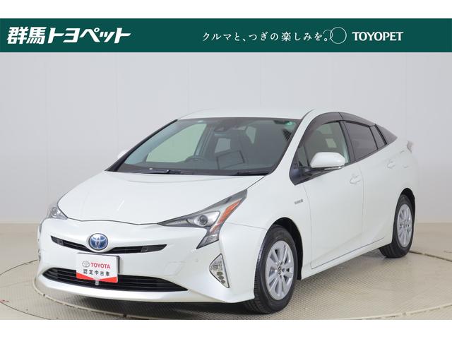 ȥ西 ץꥦ ӥեƥץ饹ﳲڸ֥졼ʥӡϥǥԣ