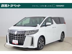 アルファード 2.5S Cパッケージ 衝突被害軽減ブレーキ 純正10型ナビ 地デジTV バックカメラ 後席モニター ETC レーダークルーズ 車線逸脱警報 シートヒーター&クール ステアリングヒーター デジタルミラー ドラレコ パワーバックドア 3眼LEDライト ワンオーナー 中古車画像