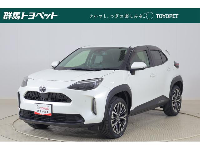 ȥ西 ꥹ ڡﳲڸ֥졼졼롼ģʥ