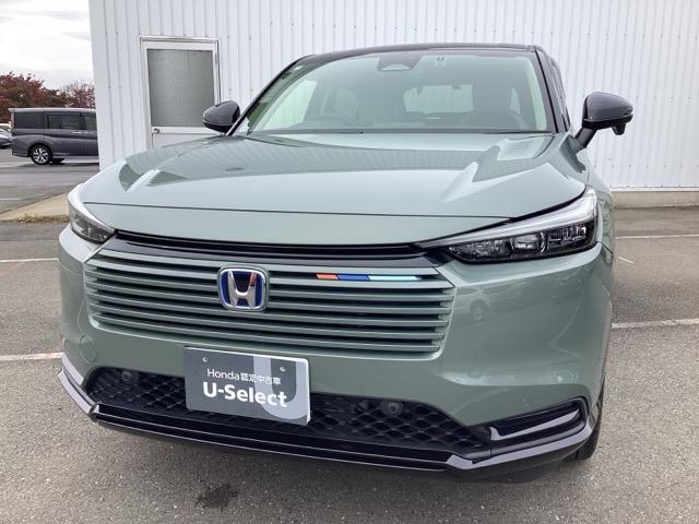 ۥ  塧ȣţ֣ڡУ̣٥ѥåȥ롼ȥ롡ɥ󥰥ȥå